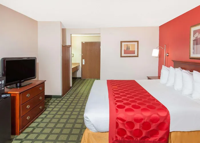 Hotel Baymont By Wyndham Decatur Il North 3*